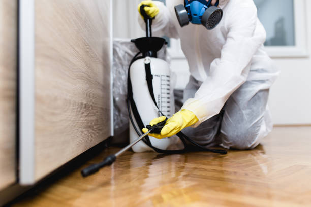 Best Commercial Pest Control Services  in Lombard, IL