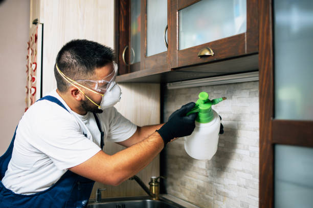 Best Cockroach Control Services  in Lombard, IL