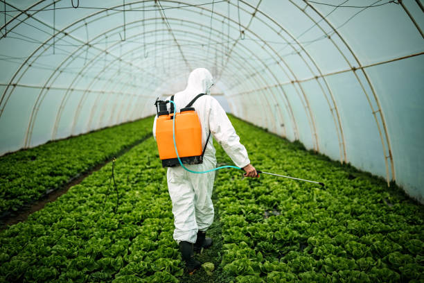 Best Pest Inspection Near Me  in Lombard, IL