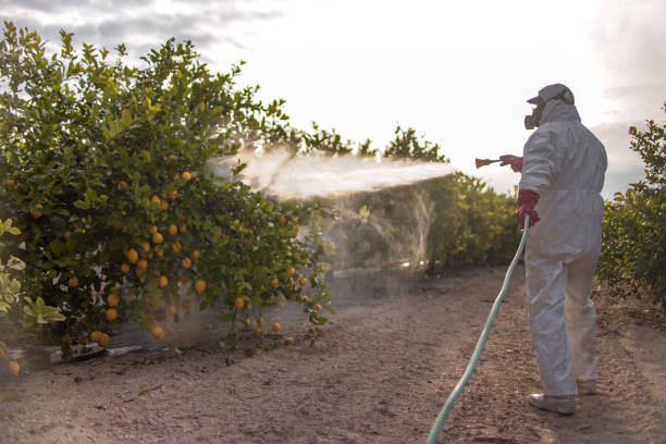Best Best Pest Control Companies  in Lombard, IL