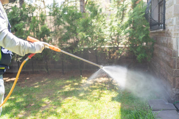 Best Mosquito Control Services  in Lombard, IL