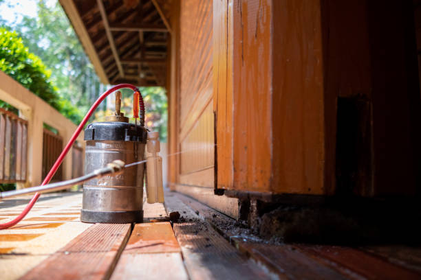 Best Best Pest Control Companies  in Lombard, IL
