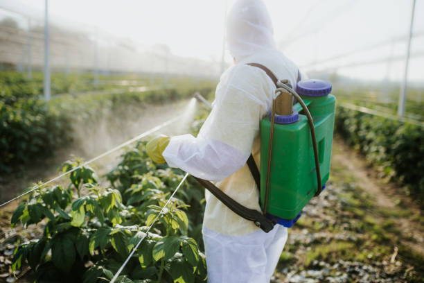 Best Bed Bug Extermination  in Lombard, IL